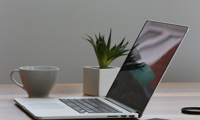 Portal S24 – czym jest oraz kiedy się przyda? portal s24