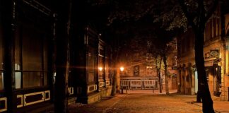 Ile sztuk kostki Holland na m2?