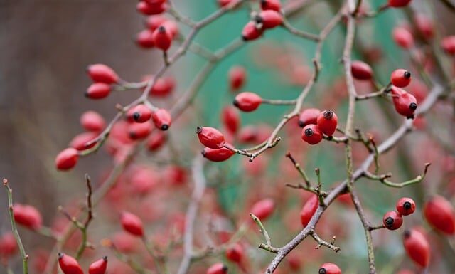 Ile kruszywa na m2 drogi? Ile kruszywa na m2 drogi?