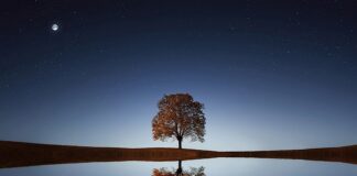 Czy picie z kubka termicznego jest zdrowe?