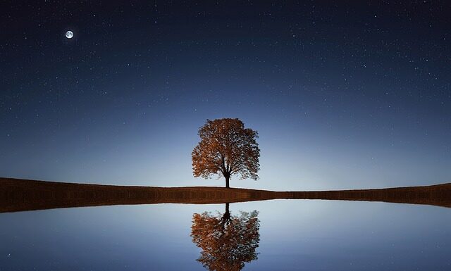 Czy picie z kubka termicznego jest zdrowe? Czy picie z kubka termicznego jest zdrowe?