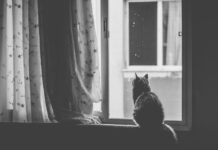 Jak działa kurtyna? Jak działa kurtyna?