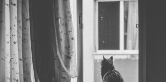 Jak działa kurtyna?