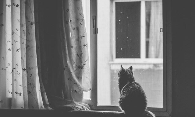 Jak działa kurtyna?