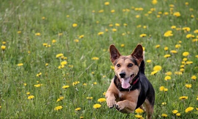 Czy wylewka to kran? Czy wylewka to kran?