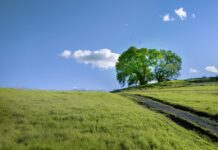 Jak sprawdzić na jakiej głębokości jest woda gruntowa? Jak sprawdzić na jakiej głębokości jest woda gruntowa?