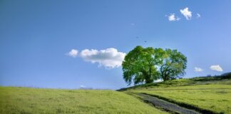 Jak sprawdzić na jakiej głębokości jest woda gruntowa?