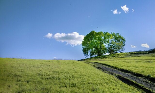 Jak sprawdzić na jakiej głębokości jest woda gruntowa?