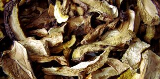 Czy można suszyć dwa kolory?