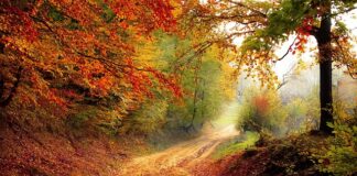 Do którego roku można palić Kopciuchami?