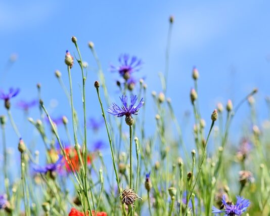 Czy trzeba zapinać ostatni guzik w koszuli? Czy trzeba zapinać ostatni guzik w koszuli?