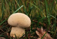 Ile worków śmieci można wystawić? Ile worków śmieci można wystawić?