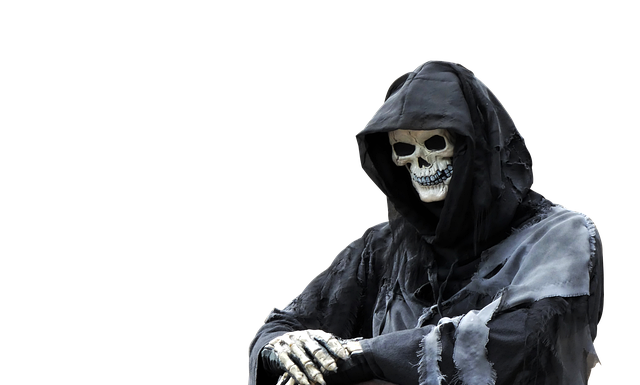 Jaka kosa do 500 zł?