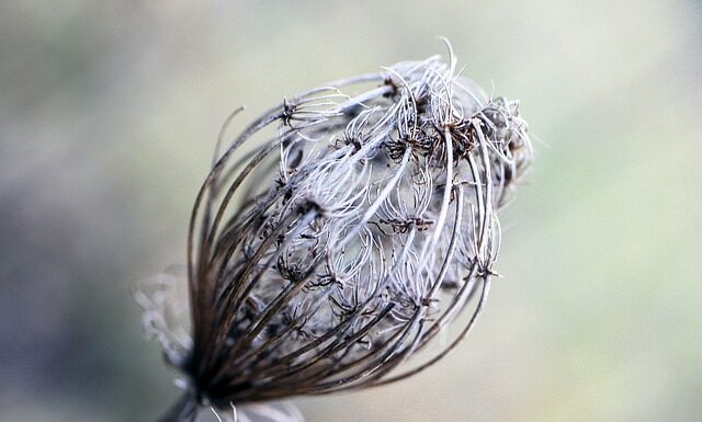 Jak Pociąć bibułę do prezentu? Jak Pociąć bibułę do prezentu?