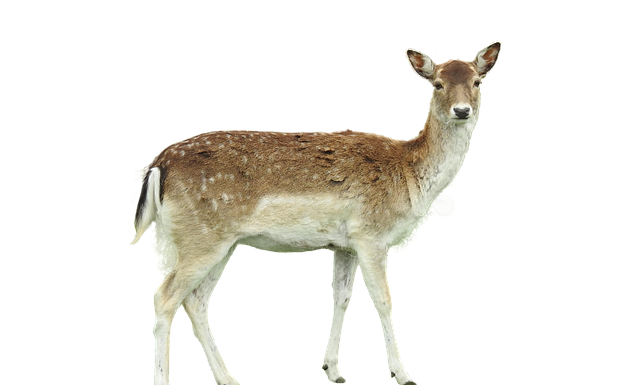 Ile metrów kostki dziennie? Ile metrów kostki dziennie?