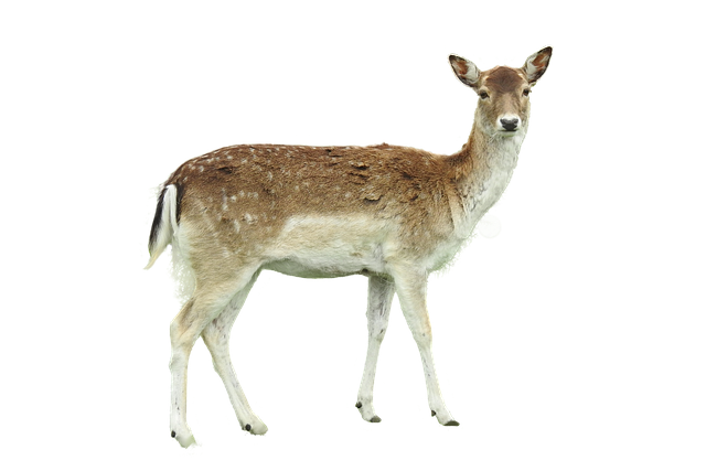 Ile metrów kostki dziennie? Ile metrów kostki dziennie?