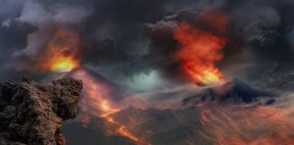 Czego nie można myć w zmywarce?