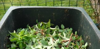 Kto odpowiada za pojemniki na odpady?