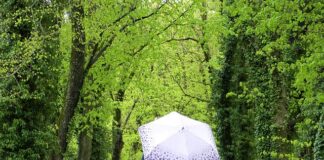 Jak znaleźć dwa przedmioty na Allegro?