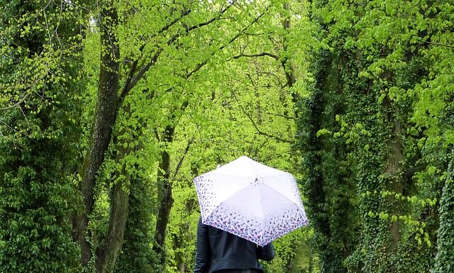 Jak znaleźć dwa przedmioty na Allegro?