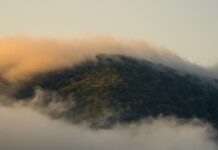 Jak daleko nęcić? Jak daleko nęcić?