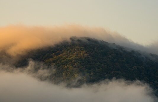 Jak daleko nęcić? Jak daleko nęcić?