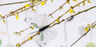 Co przygotować na wielkanocny stół? Co przygotować na wielkanocny stół?