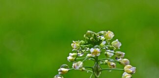 Co można zrobić ze zwykłego kubka? Co można zrobić ze zwykłego kubka?