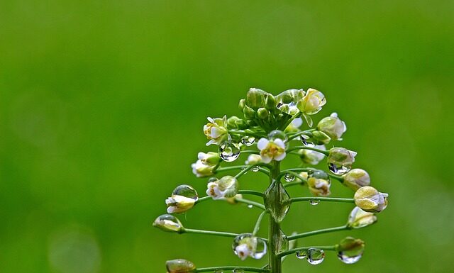 Co można zrobić ze zwykłego kubka?