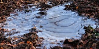 Co dodać do wody żeby nie Zamarzła?