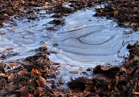 Co dodać do wody żeby nie Zamarzła?