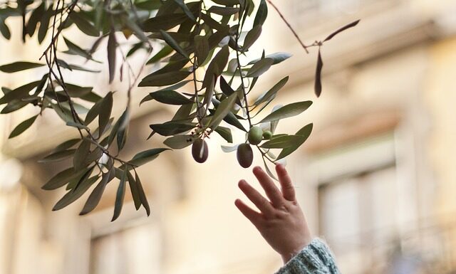 Czy flanela się rozciąga? Czy flanela się rozciąga?