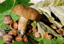 Co zamiast filcu pod meble? Co zamiast filcu pod meble?