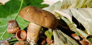 Co zamiast filcu pod meble?