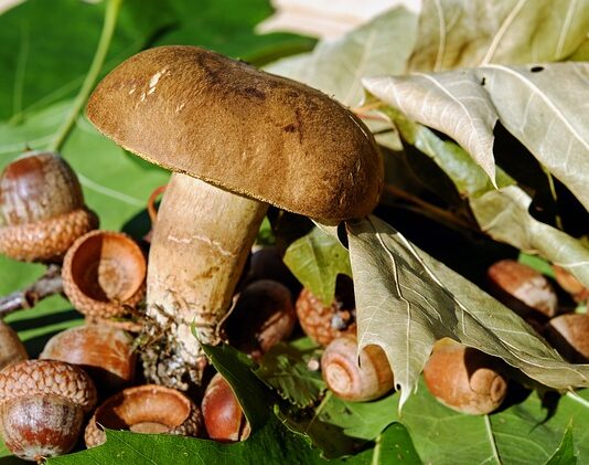 Co zamiast filcu pod meble?