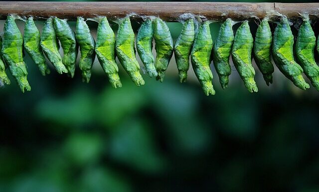 Jak długo dziecko może spać w kokonie?