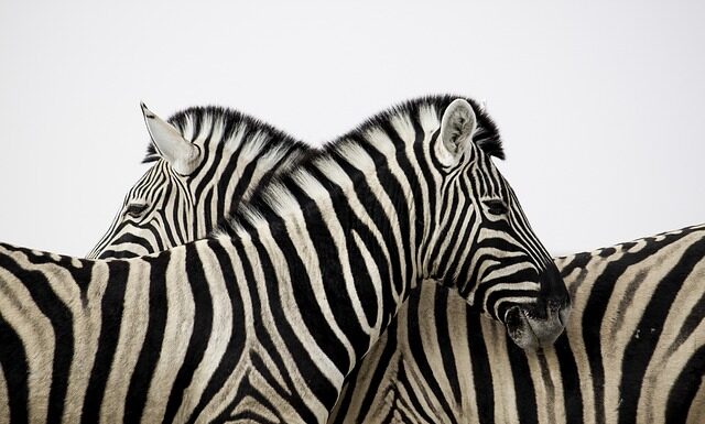 Ile kW na 1 fazie? Ile kW na 1 fazie?