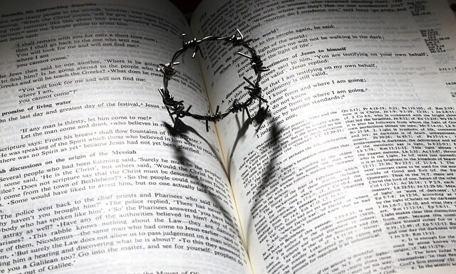 Ile kosztuje godzina pracy farelki?