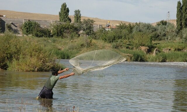 Gdzie kupić siatkę do kratki wentylacyjnej?