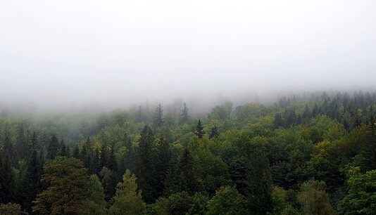 Jak Zasłonić kosze?