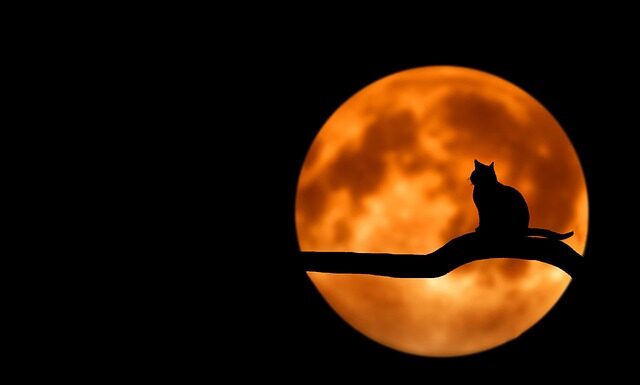 Jakie zwierzę do koszenia trawy?