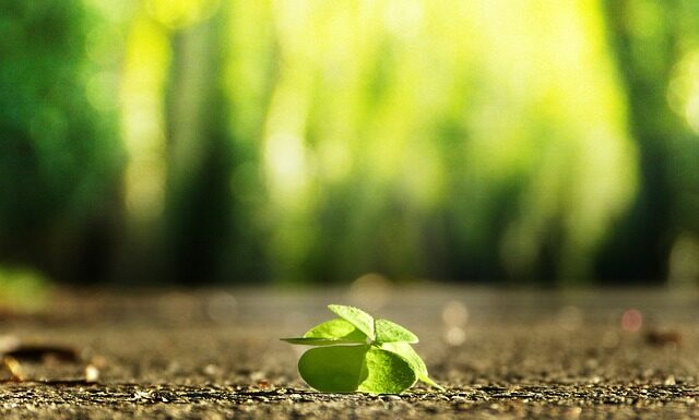 Ile kosztuje one Fulfillment Allegro? Ile kosztuje one Fulfillment Allegro?