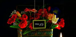 Ile pali silnik Briggs&Stratton?