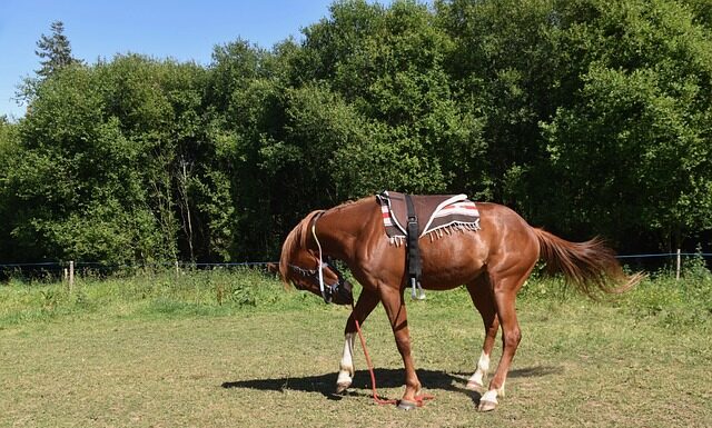Czy montować szyber w kominku?