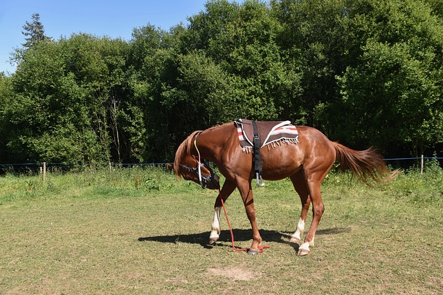 Czy montować szyber w kominku? Czy montować szyber w kominku?