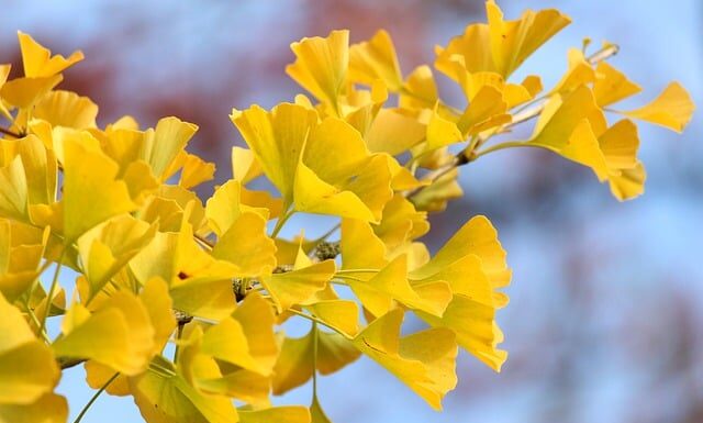 Czy można zamontować wentylator w bloku?