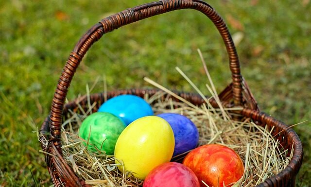 Jaka wiklina na koszyki? Jaka wiklina na koszyki?