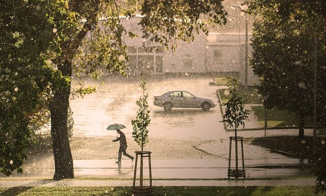 Dlaczego na szklankach zostaje osad po herbacie?