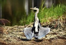 Gdzie suszyć ręczniki po kąpieli?