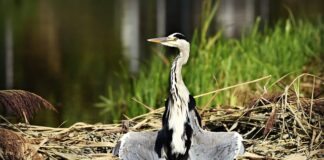 Gdzie suszyć ręczniki po kąpieli? Gdzie suszyć ręczniki po kąpieli?